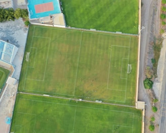 An aerial view of a sports complex featuring multiple green grass fields, including football pitches with marked goalposts. Adjacent to the fields is a blue-roofed building and a smaller area with a tennis or basketball court. Surrounding the complex, there's a road lined with trees and a dirt area with sparse vegetation.